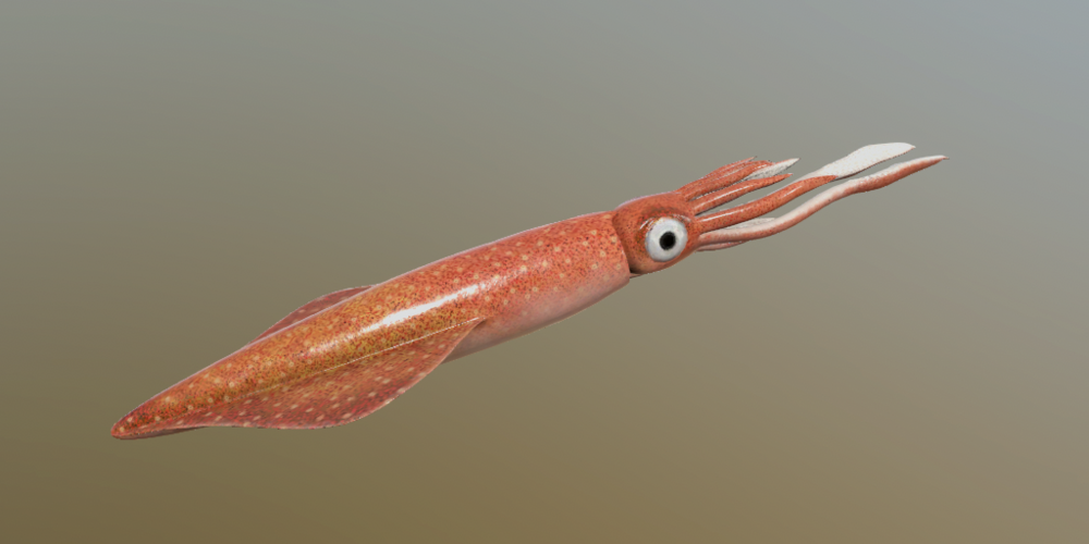 Gemeiner Kalmar Fischarten Russian Fishing 4