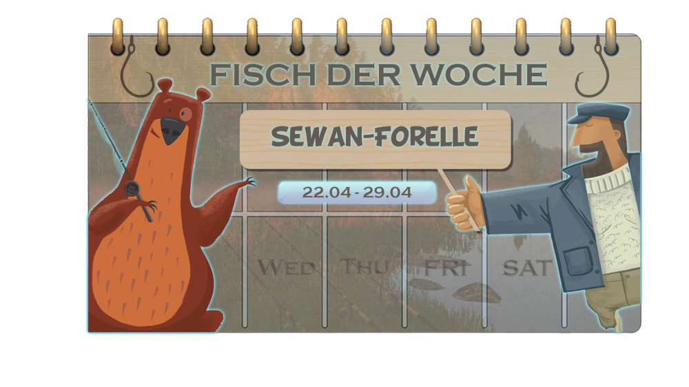 Fisch der Woche - Sewan-Forelle [22.04 - 29.04] - Fisch der Woche ...