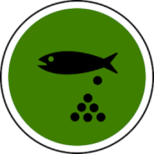 Kauli