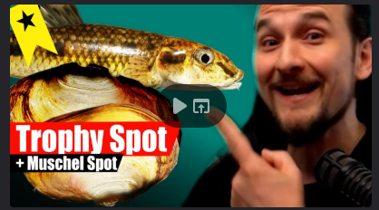 image.png.6923ac34e76eabca543cf0f7283710da.png