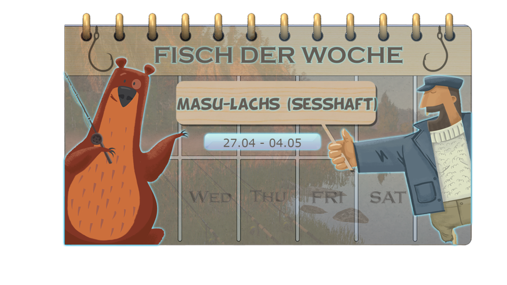 FOTW_Masu-Lachs(sesshaft)_DE.png