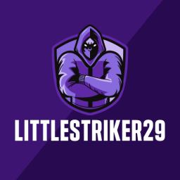 Littlestriker29